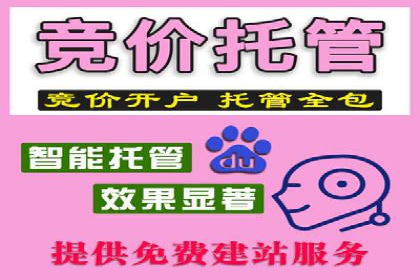 SEM代运营公司案例：助力企业腾飞
